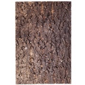 Repti-Zoo Big Tree Background - bark background for terrarium 30x45cm